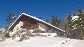 Appartment Gertrud Flatz Sankt Anton Im Montafon